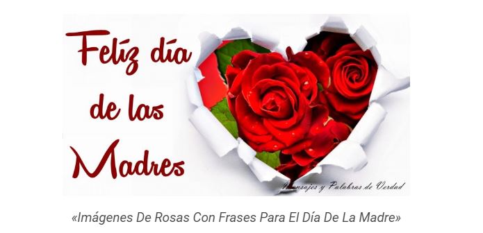 Imagenes de rosas con frases para mama - kk.taphoamini.com